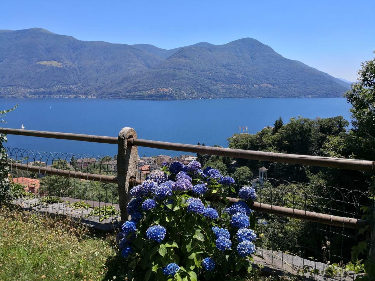 Brilago 1 Brissago Buitenkant foto